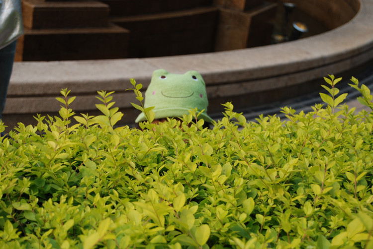 【帽子秀】幼幼帽子秀<em>P3</em>补漏<em>几</em>顶 - 父母网论